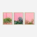 Zestaw obrazy w ramie 50x70 galeria - Liście, kaktusy, rośliny, pastele, retro - rama drewno