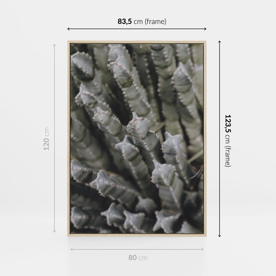 Obraz w ramie 80x120 - Boho kaktusy na pustyni - kaktusy, pustynia - rama drewno