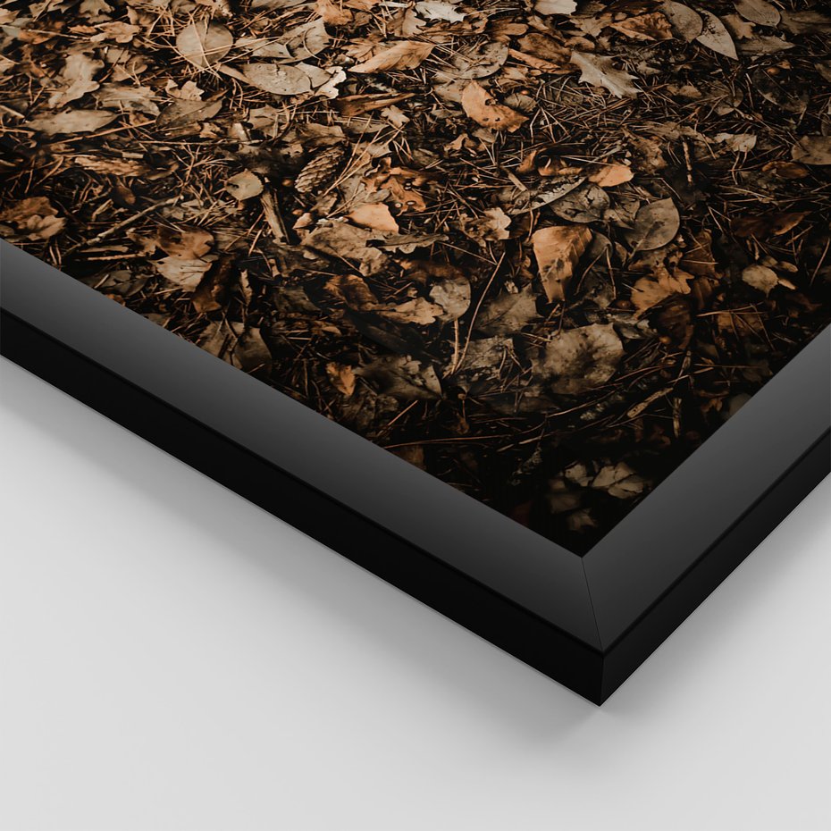 Zestaw obrazy w ramie 40x50 galeria - Suche, jesienne, liście, las - rama czarna