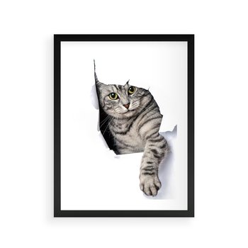 Plakat w ramie 30x40 - Tajemniczy kot i jego świat - kot, dziura - rama czarna