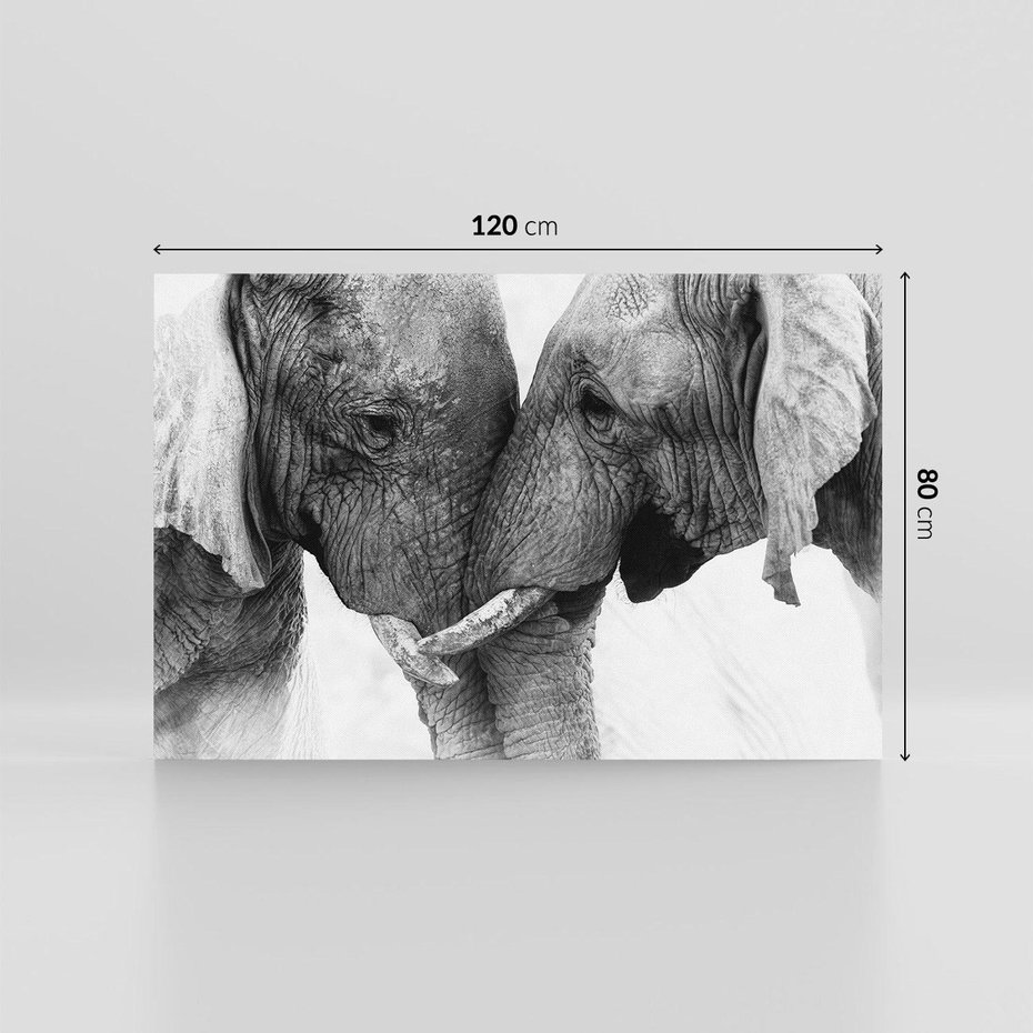 Obraz na płótnie 120x80 - Spotkanie Mądrości - fotografia czarno biała, dwa słonie