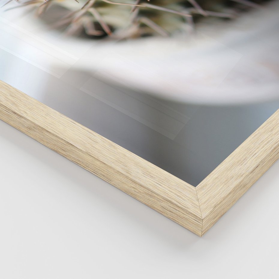 Zestaw obrazy w ramie 30x40 galeria - Sukulenty, kaktusy, boho, kwiaty - rama drewno