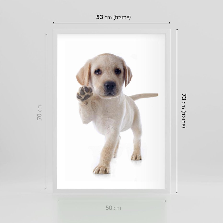 Plakat w ramie 50x70 - Szczeniak pełen radości - piesek, szczeniak - rama biała