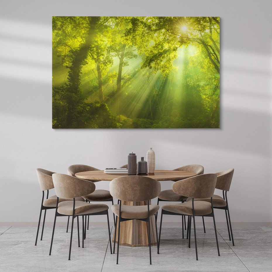 Obraz na płótnie 70x50 - drzewa w harmonii - las, drzewa