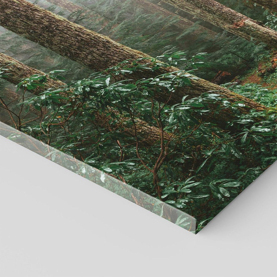 Obraz na płótnie 70x70 - Mgliste Marzenia - artystyczna fotografia, las