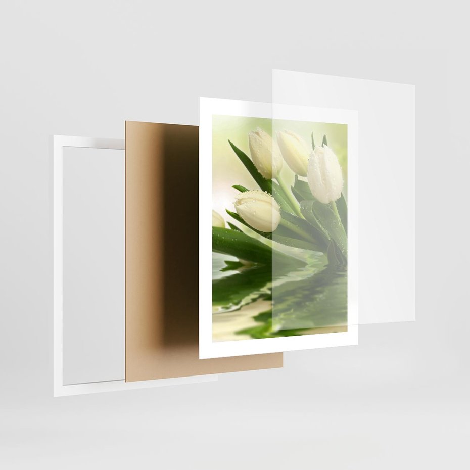 Plakat w ramie 40x50 - Białe Piękno - białe, tulipany - rama biała