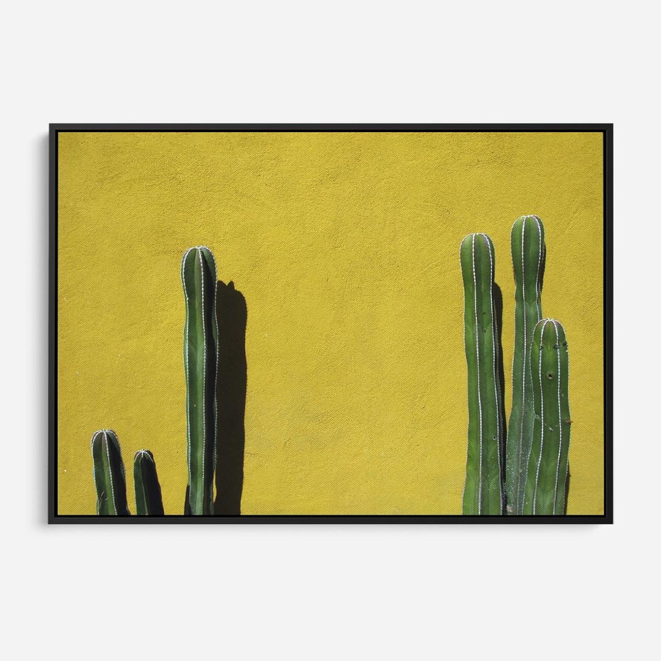 Obraz w ramie 100x70 - Refleksje w roślinnym odbiciu - zielone kaktusy na tle żółtej ściany, soczyste kolory - rama czarna