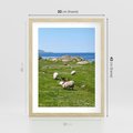 Plakat w ramie 30x40 - Górskie Owce - góry, owce - rama drewno