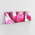 Obraz na płótnie 120x40 - Tulipany w pejzażu - tulipany, kwiaty