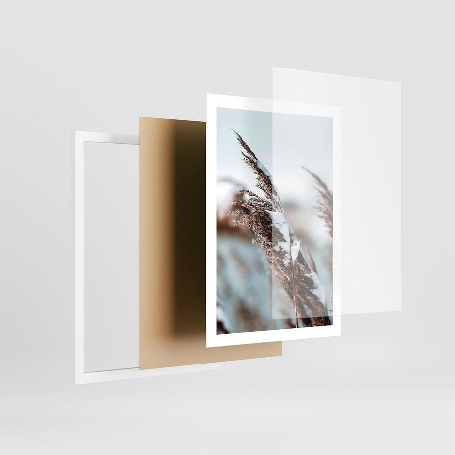Plakat w ramie 50x70 - Zima na Suchych Trawach - suche trawy, śnieg wysokich na trawach - rama biała