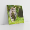 Obraz na płótnie 30x30 - Kocie polowanie w ogrodzie - kot, polowanie