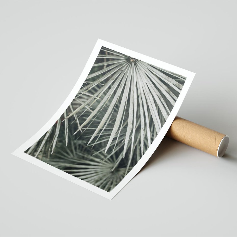 Plakat bez ramy 21x30 - Ujęcie Tropikalnej Natury - palmy, liście palmy