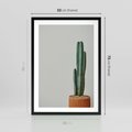 Plakat w ramie 50x70 - Zieleń i Subtelność - kaktusy, liście - rama czarna