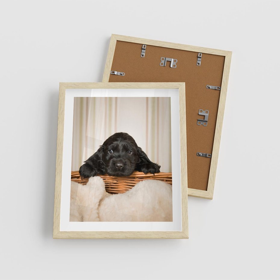 Plakat w ramie 40x50 - Uroczy szczeniak w akcji - piesek, szczeniak - rama drewno
