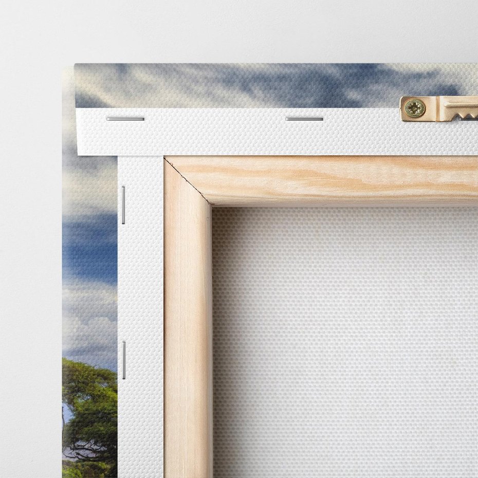 Obraz na płótnie 120x60 - Afrykańska magia - Afryka, Kenia