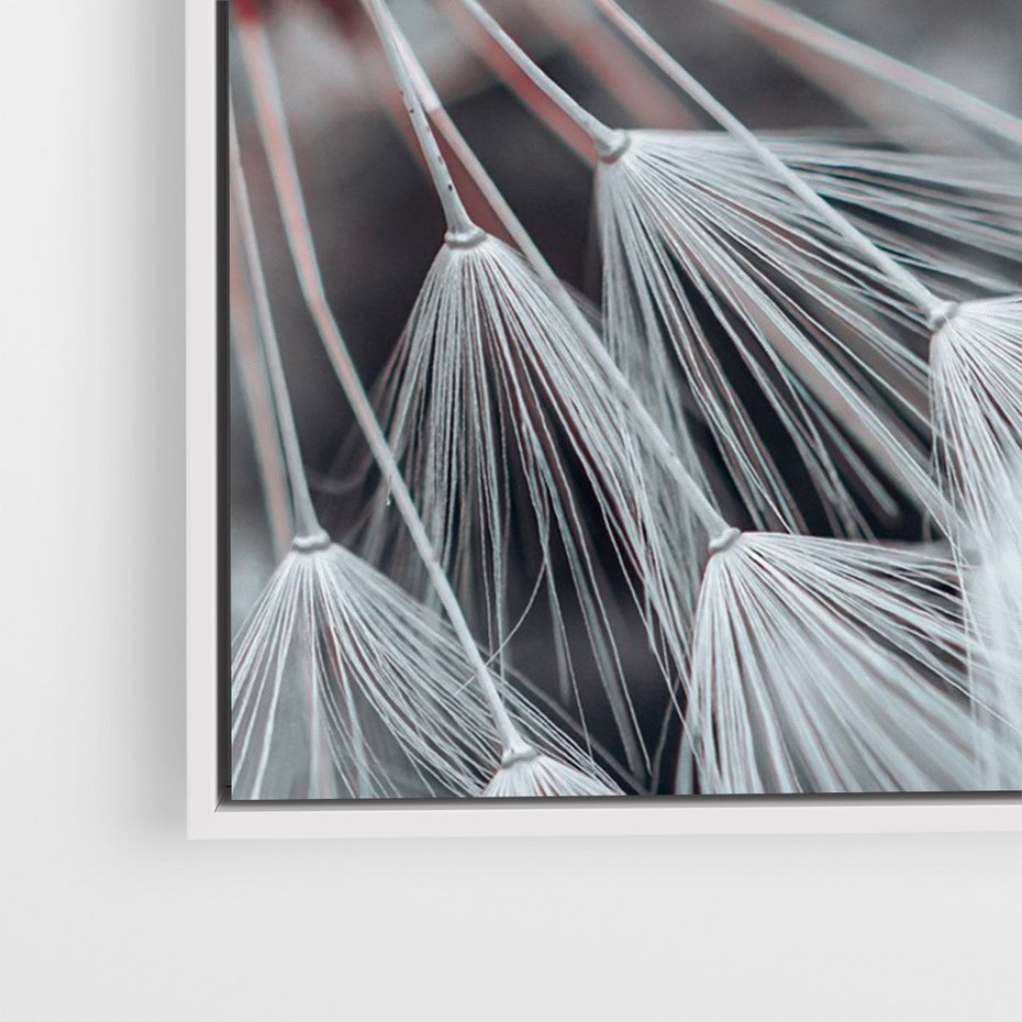 Obraz w ramie 80x120 - Makro świat dmuchawca - dmuchawiec, makro - rama biała