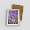 Plakat w ramie 30x40 - Urok lawendy - lawenda, kwiaty - rama drewno