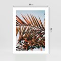 Plakat bez ramy 30x40 - Tropikalna Harmonia - palma, liście palmy