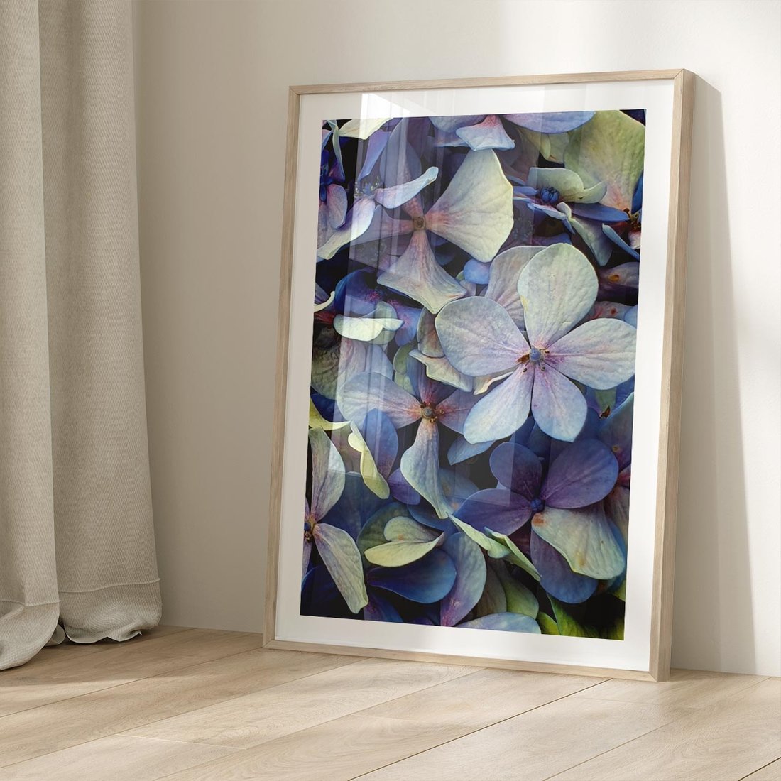 Plakat w ramie 50x70 - Hortensja - delikatność kwiatów - hortensja, kwiaty - rama drewno