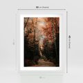 Plakat w ramie 30x40 - Drzewa w Czerwonych Liściach - las, jesienny las - rama biała