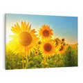 Obraz na płótnie 100x70 - kolorowe promienie - słoneczniki, kwiaty