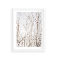 Plakat w ramie 30x40 - Szron na Gałęziach - ośnieżone gałązki, szron na gałęziach - rama biała