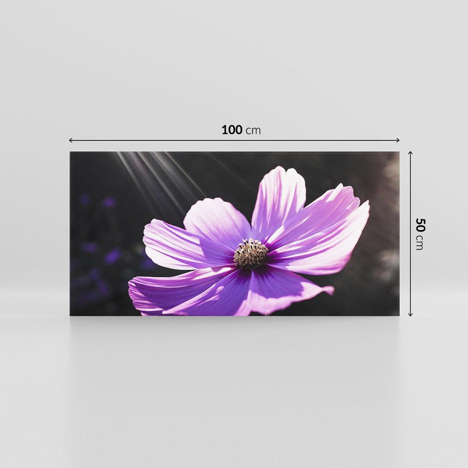 Obraz na płótnie 100x50 - Kwiatowy taniec natury - kwiat, kwiaty