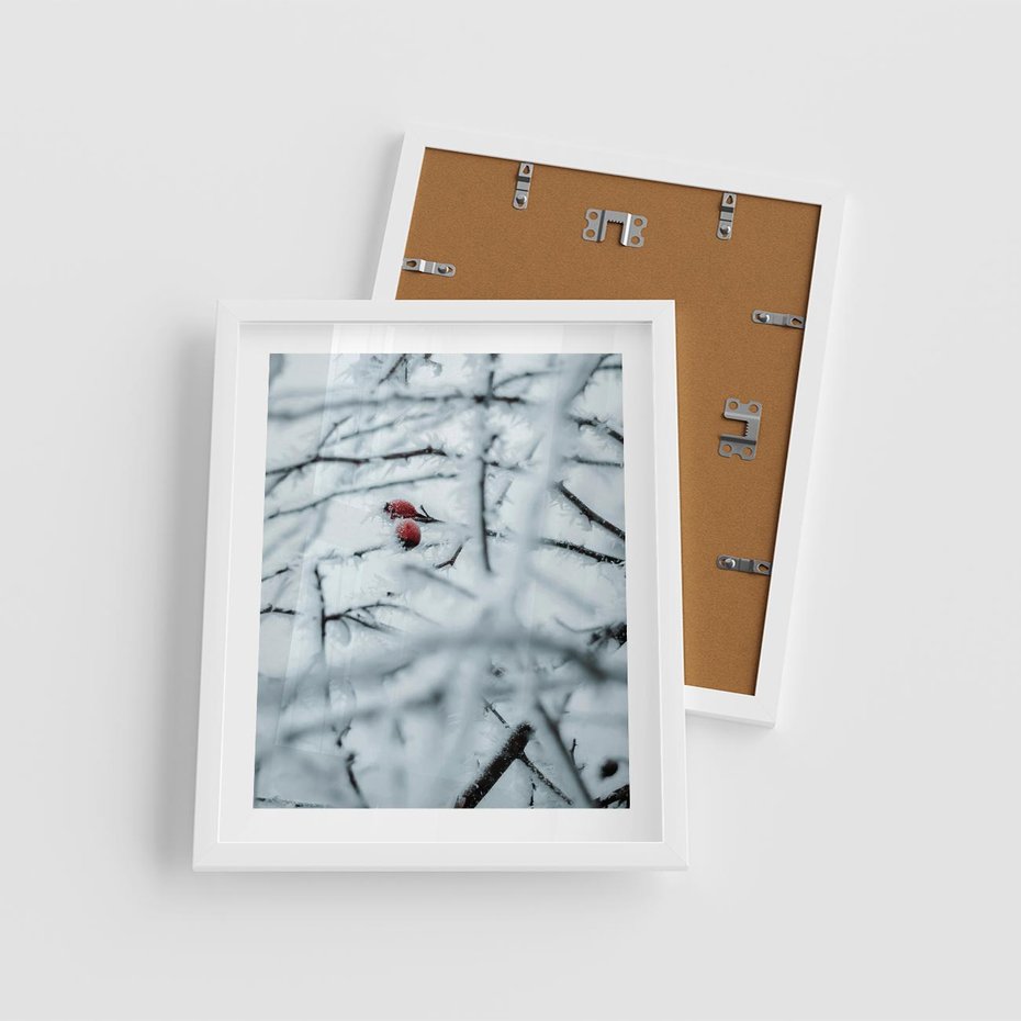 Plakat w ramie 40x50 - Zima w Detalu: Gałęzie ze Szronem i Śniegiem - śnieg, zima - rama biała