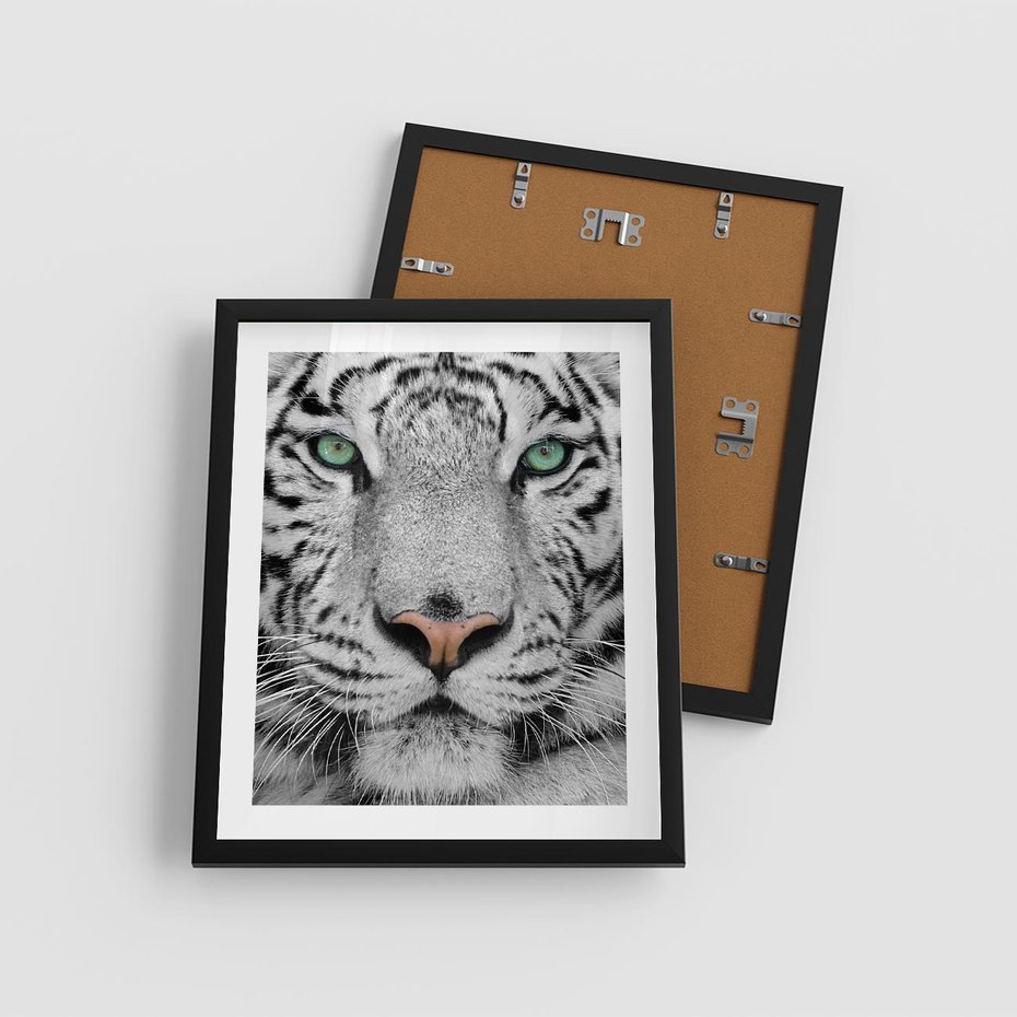 Plakat w ramie 40x50 - Magia Białego Tygrysa - biały, tygrys - rama czarna