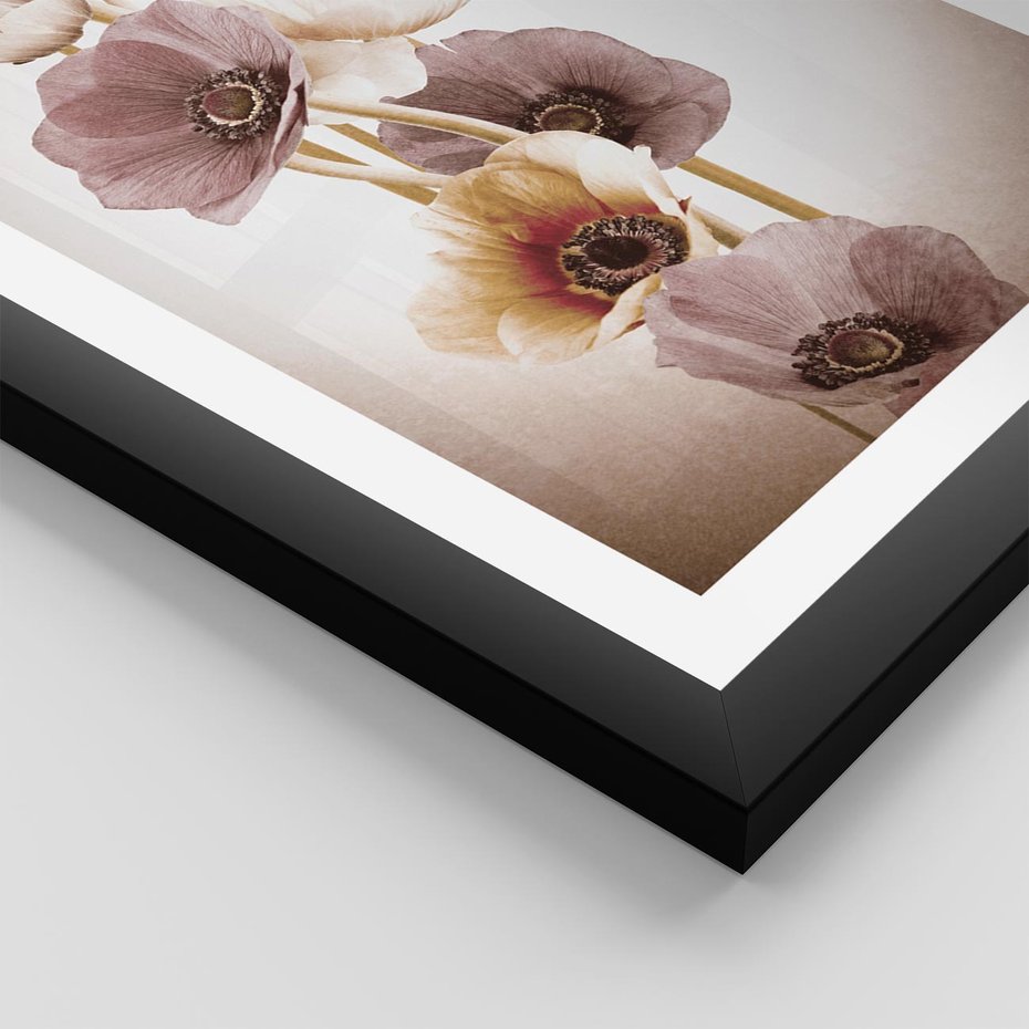 Plakat w ramie 50x70 - Eksplozja kolorów - akwarela, maki - rama czarna