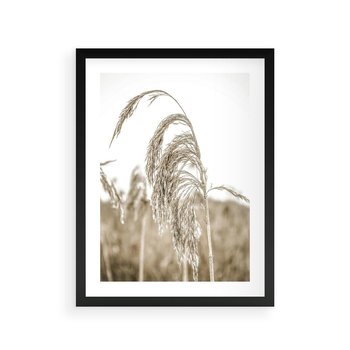 Plakat w ramie 40x50 - Ujęcie Suchych Traw - suche trawy, zbliżenie - rama czarna
