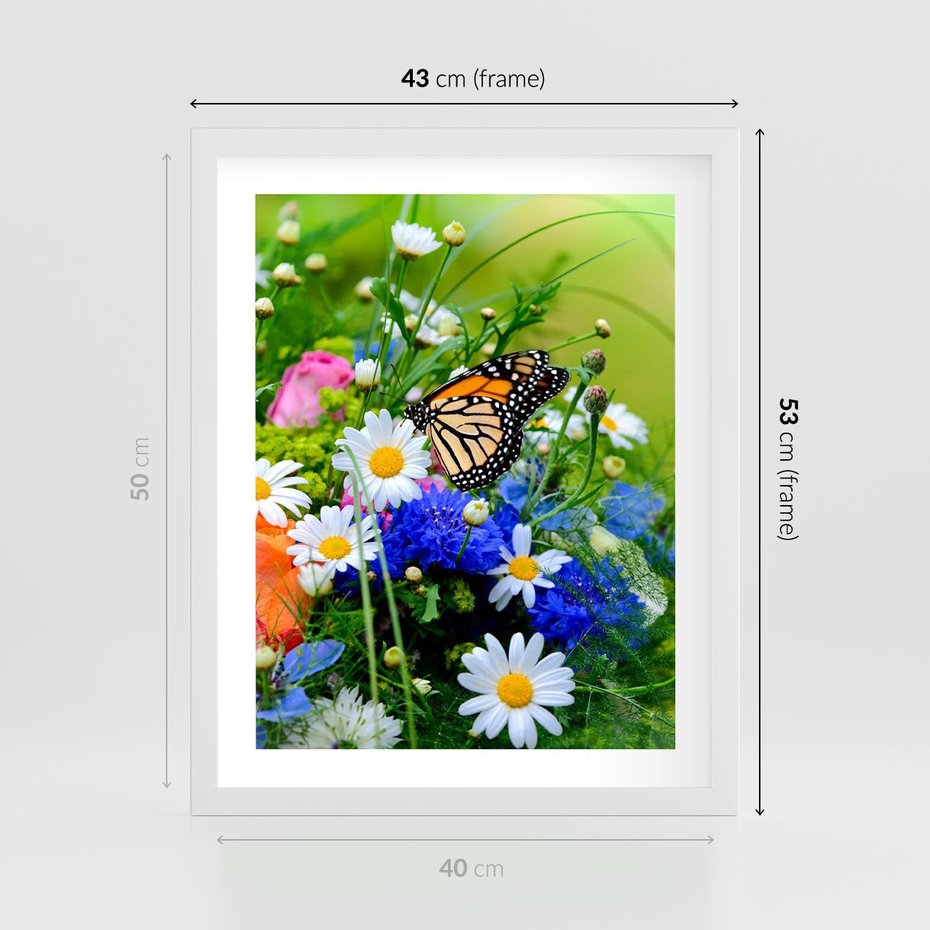 Plakat w ramie 40x50 - Kwiatowy Taniec - motyl, kwiaty - rama biała