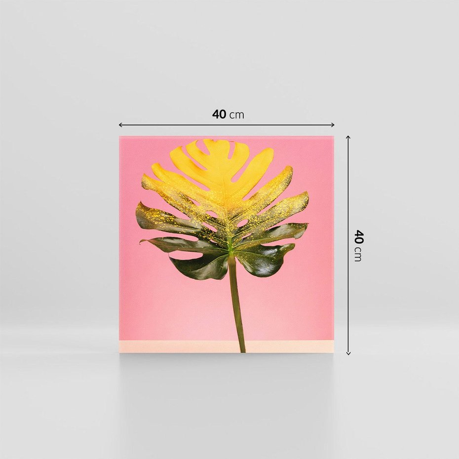 Obraz na płótnie 40x40 - Majestatyczna monstera - monstera, liść