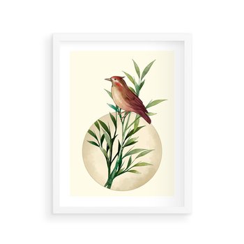 Plakat w ramie 30x40 - Rozkwitająca Delikatność - japońska sztuka, ptak - rama biała