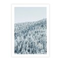Plakat bez ramy 21x30 - Cicha Zima - las, zima