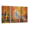 Obraz na płótnie 120x80 - Jesienny taniec lasu - jesień, las