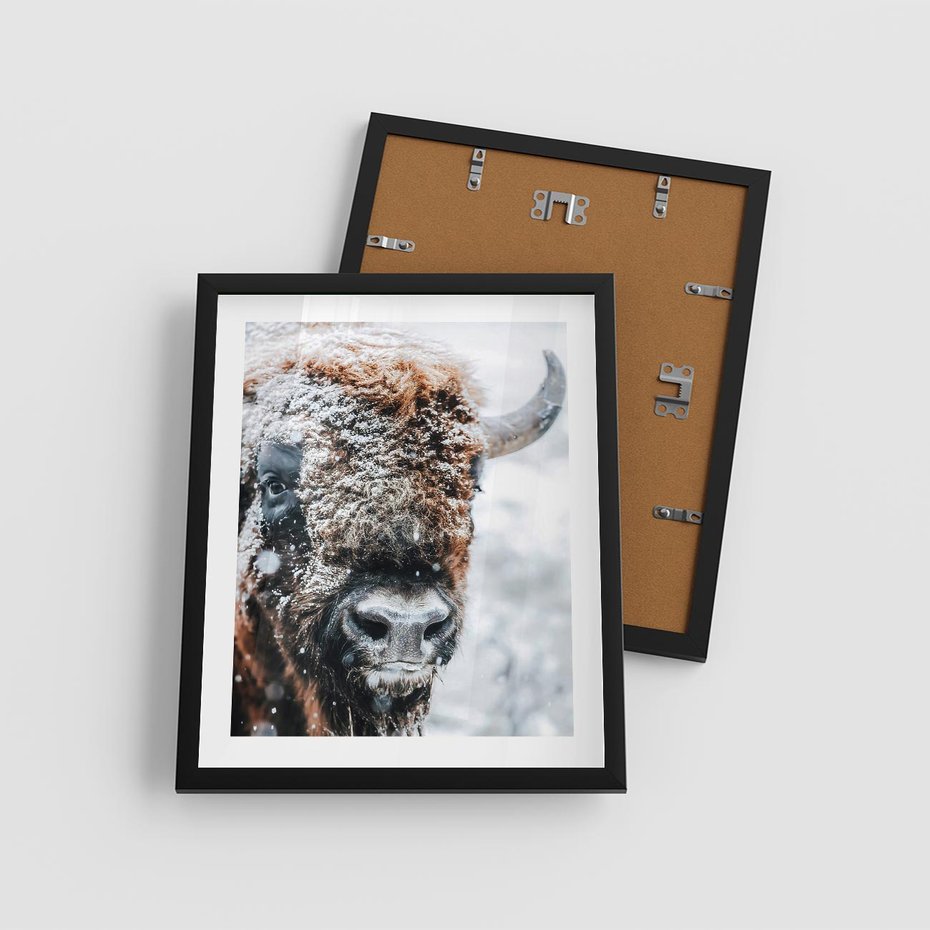 Plakat w ramie 40x50 - Żubr w Krainie Śniegu - żubr, zima - rama czarna