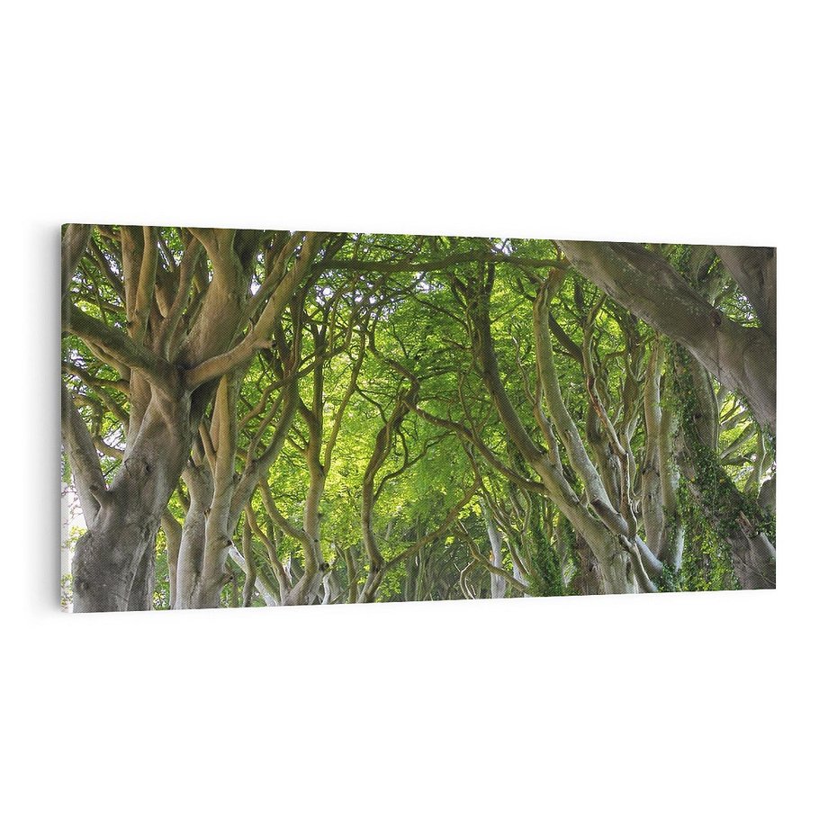 Obraz na płótnie 100x50 - Magiczny Las - drzewa, las