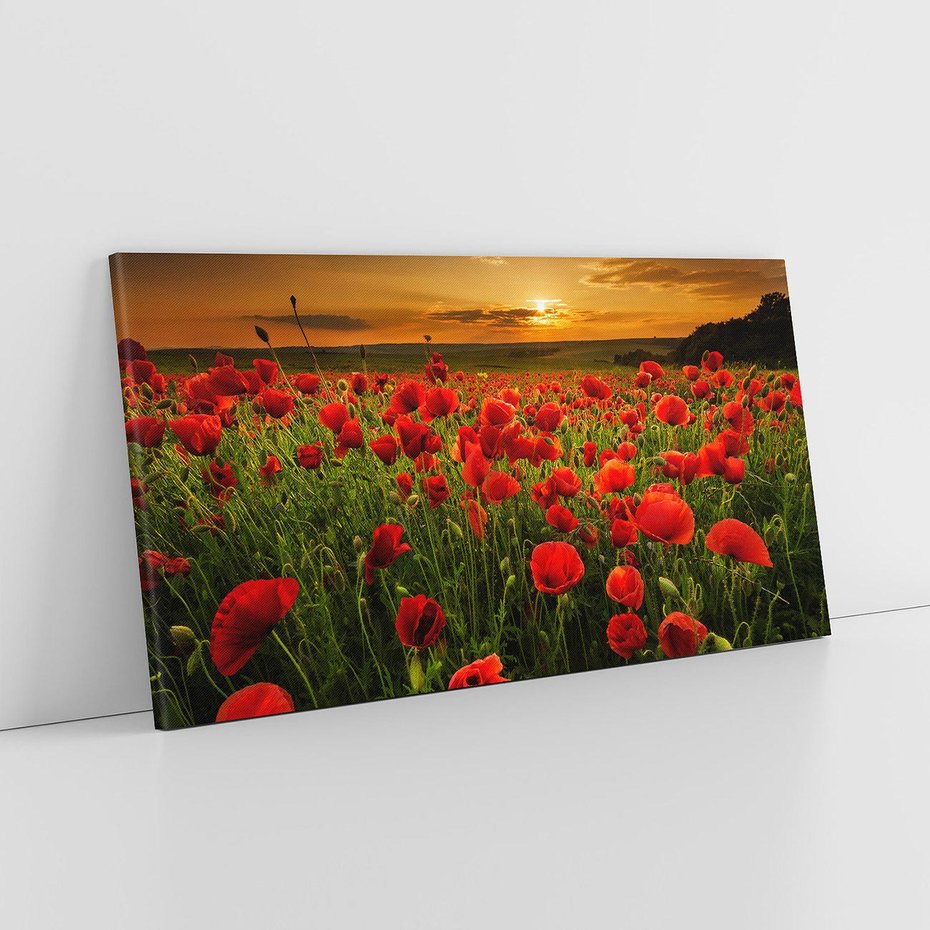 Obraz na płótnie 120x60 - Maki na łące: Przebudzenie wiosny - mak, maki