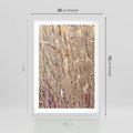 Plakat w ramie 50x70 - Suche Trawy w Wyjątkowym Stylu - suche trawy, boho styl - rama biała