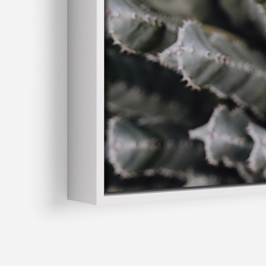 Obraz w ramie 80x120 - Boho kaktusy na pustyni - kaktusy, pustynia - rama biała