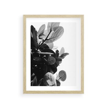 Plakat w ramie 50x70 - Blisko Natury - liście, rośliny tropikalne - rama drewno