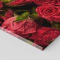 Obraz na płótnie 30x30 - Piękno róż: delikatność natury - róże, kwiaty