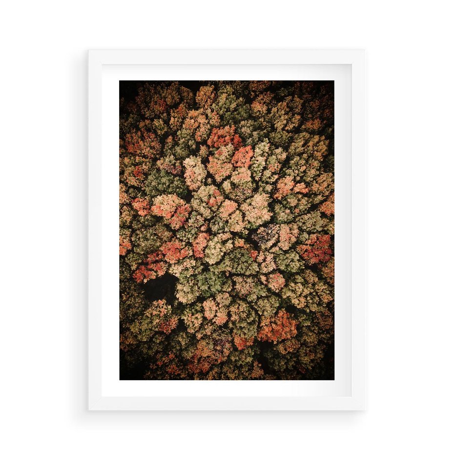 Plakat w ramie 50x70 - Jesień z Lotu Ptaka: Malowniczy Las - las jesienią z lotu ptaka - rama biała
