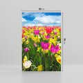 Obraz na płótnie 50x70 - tulipany na łące - kwiaty, tulipany