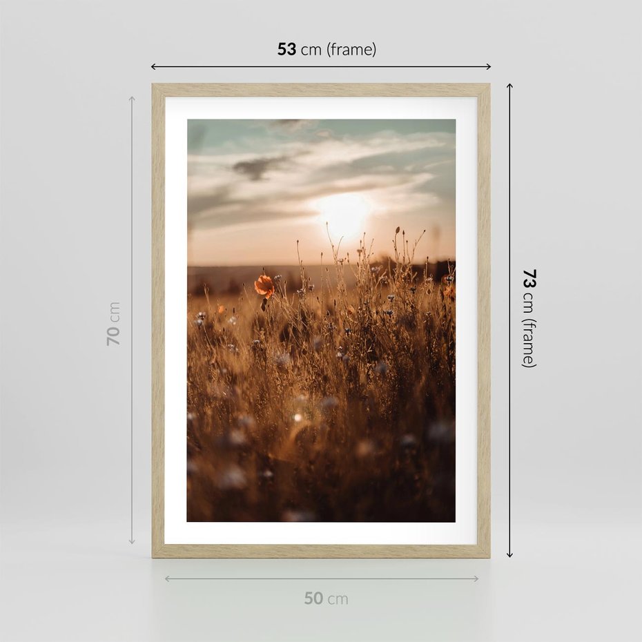 Plakat w ramie 50x70 - Zachwyt zachodem słońca na łące - zachód, słońca - rama drewno