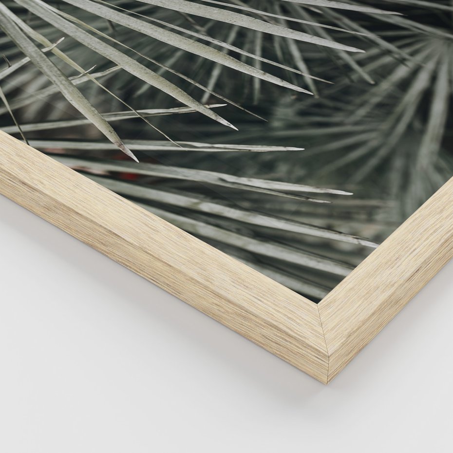 Zestaw obrazy w ramie 50x70 galeria - Liście, palmy, monstery - rama drewno