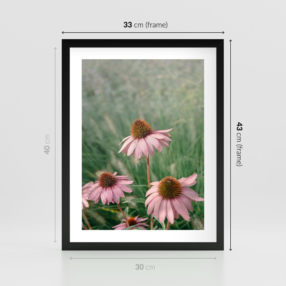 Plakat w ramie 30x40 - Natura w Pełnym Blasku - kwiaty na łące, różowe kwiaty polne - rama czarna