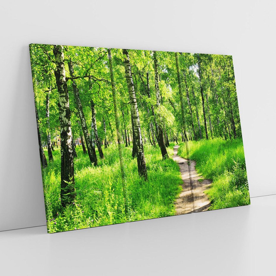 Obraz na płótnie 120x80 - odkryj piękno drzew - las, drzewa