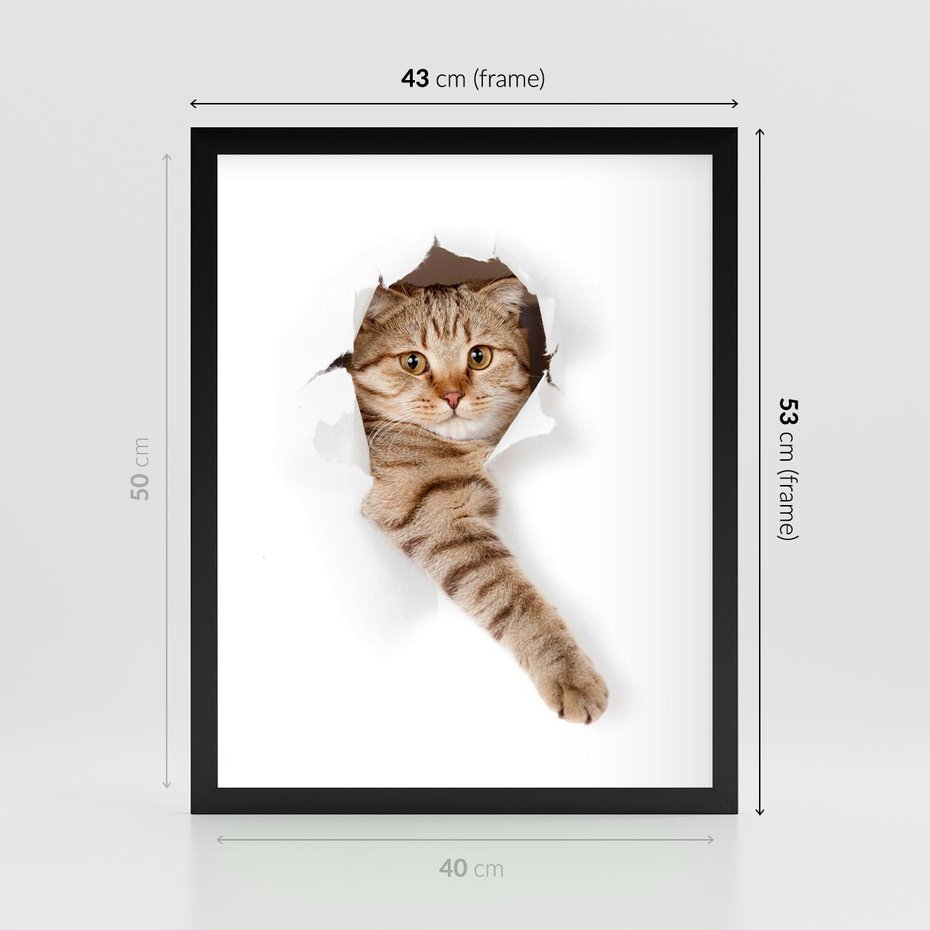Plakat w ramie 40x50 - Kot w Dziurze - kot, dziura - rama czarna